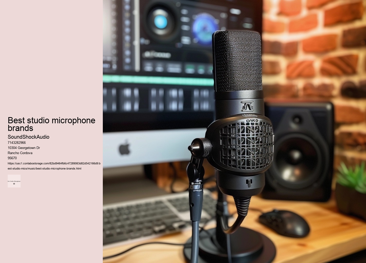 best studio microphone brands